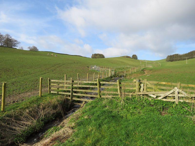 Views Over Burn
