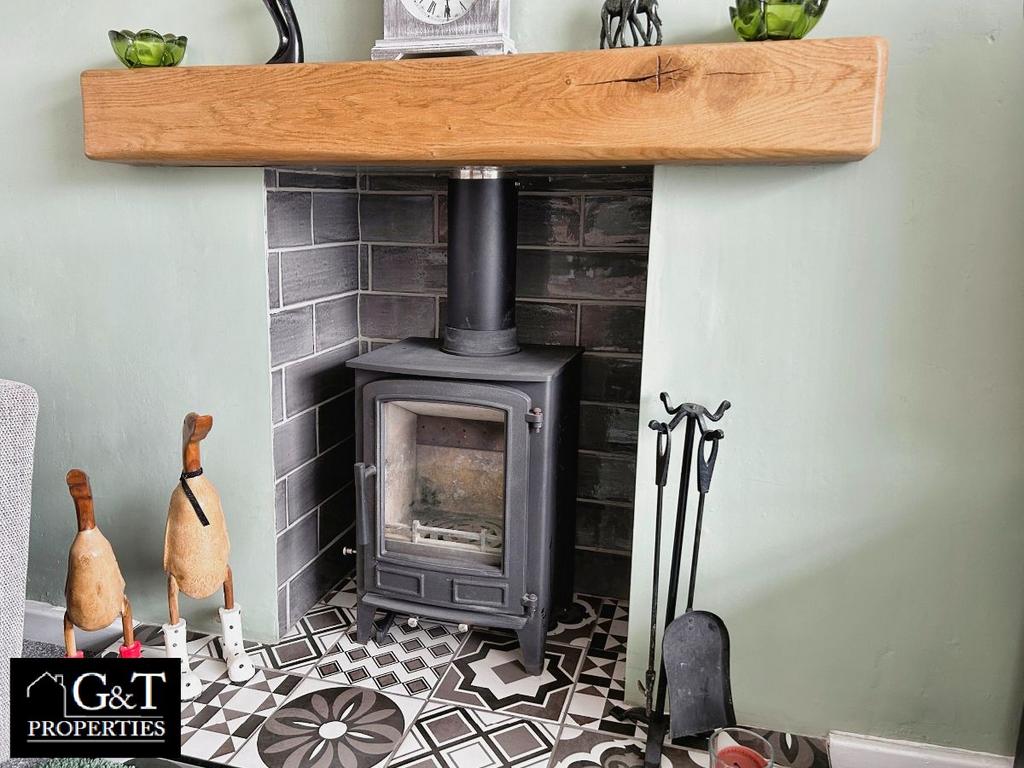 Log Burner