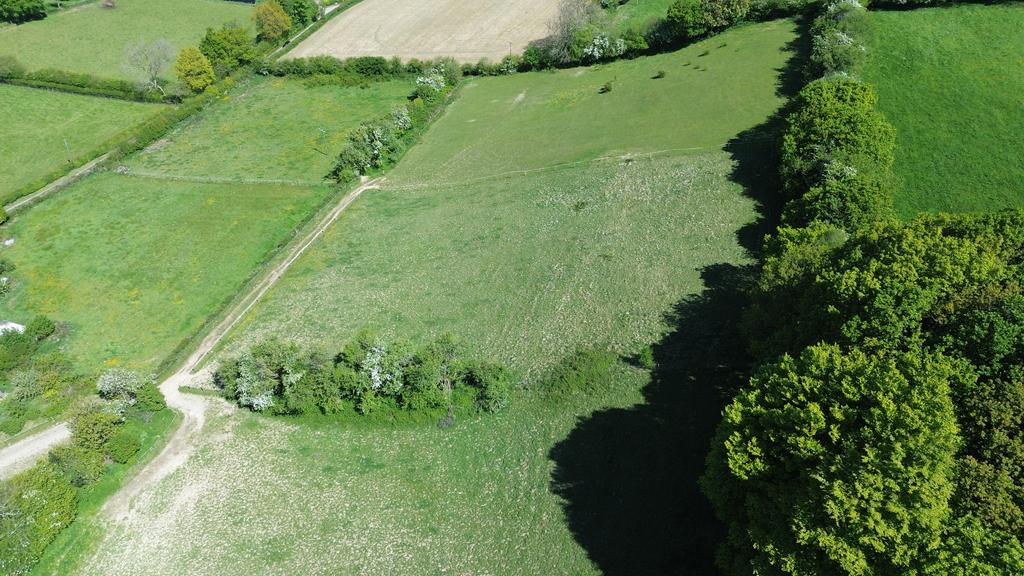 The land