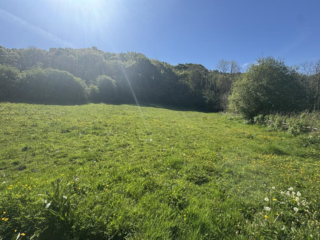 Land (fourth image)