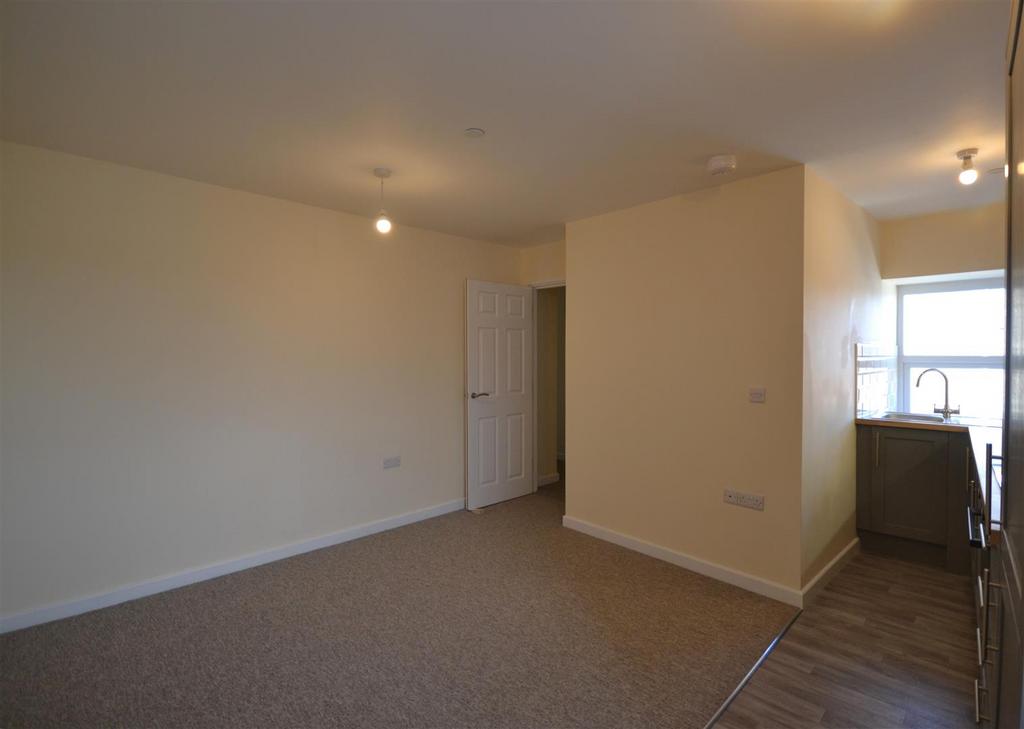 Kitchen/Dining/Living Area