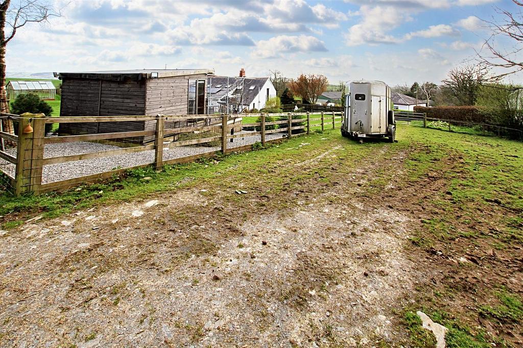 Woodland/paddock area