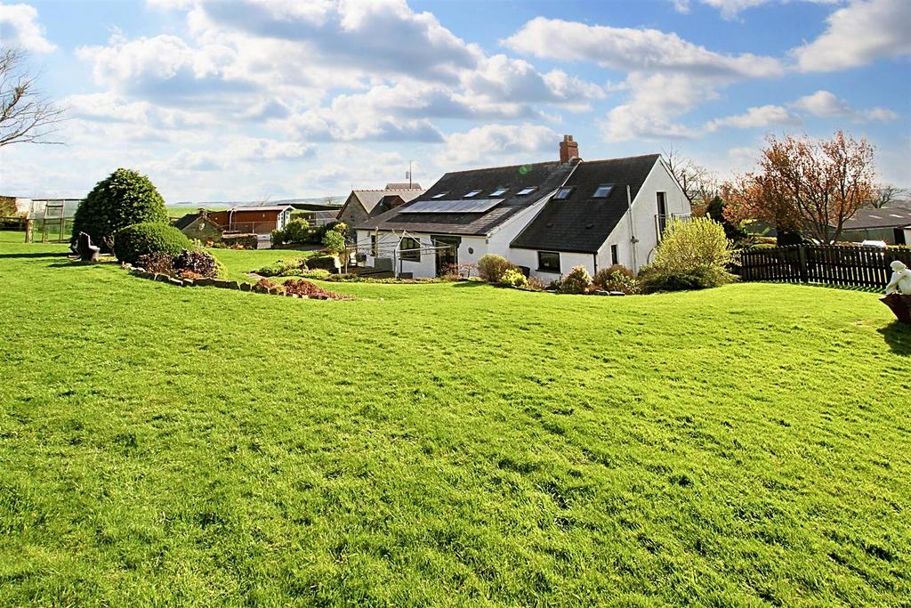 Rear gardens