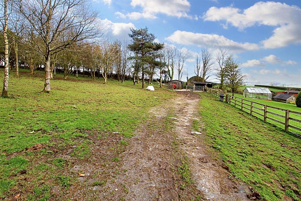 Woodland/paddock area