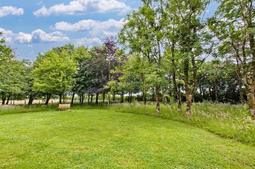 Woodland/Paddock
