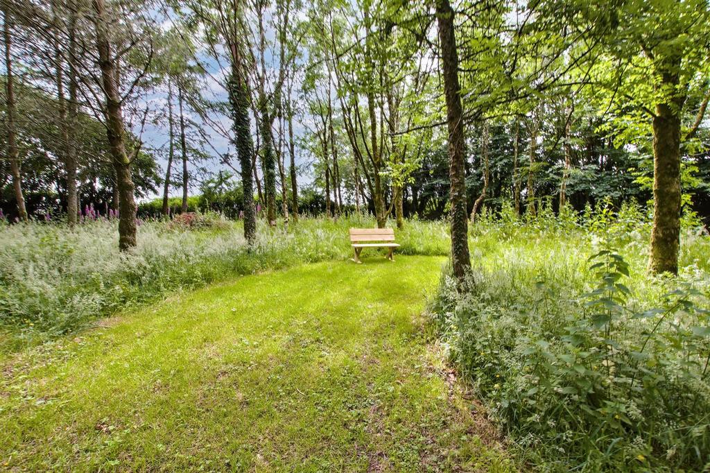 Woodland/Paddock