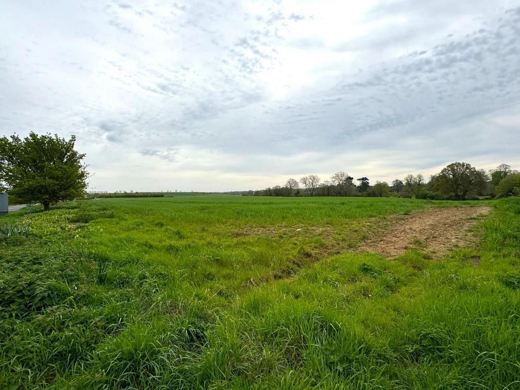 Whats App Image 2024-04-12 at 13.40.47 2c609fa5.jpg