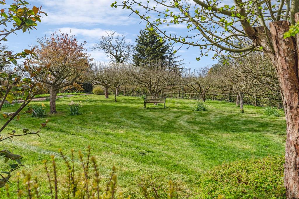 Grounds
