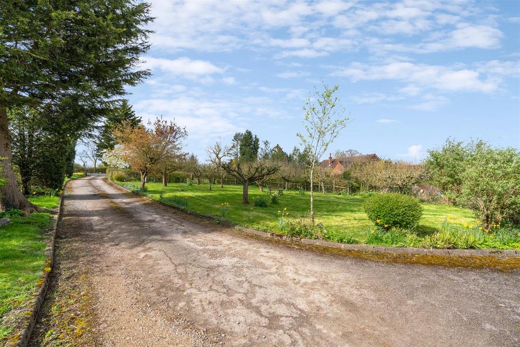 Driveway