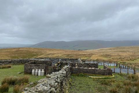 Farm land for sale, Garsdale, Sedbergh, LA10