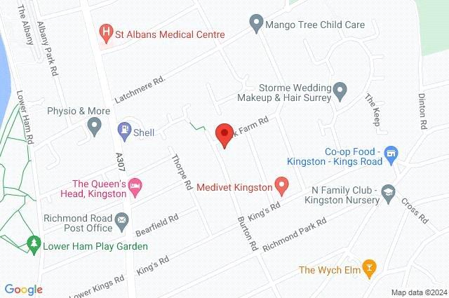 Google Maps Image