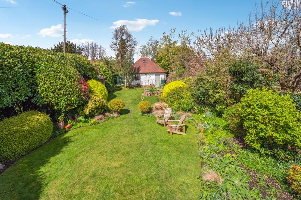 Garden (24)