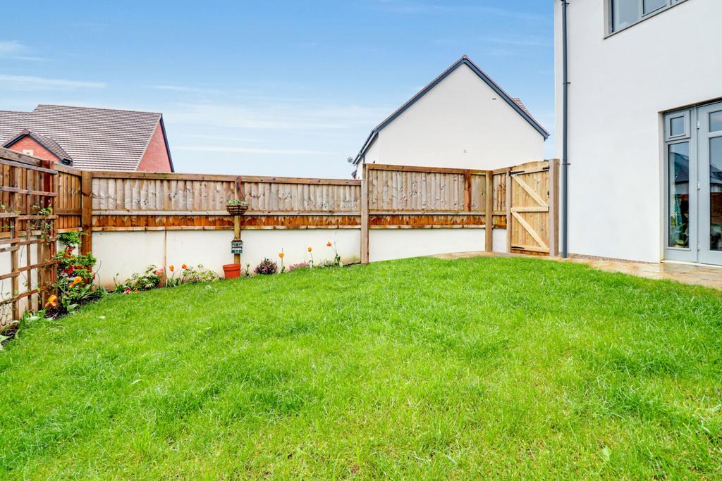 Back Garden