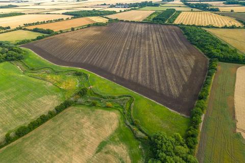 Land for sale, HIGHLY PRODUCTIVE ARABLE AND GRASS LAND, SCOPWICK, LINCOLNSHIRE, LN4