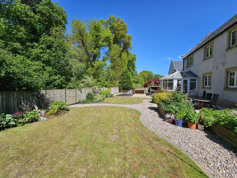 Back Garden