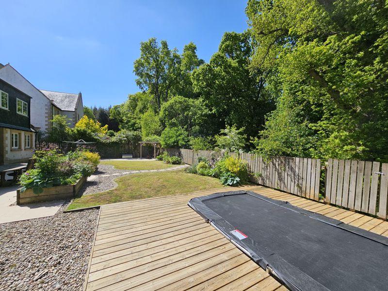 Back Garden