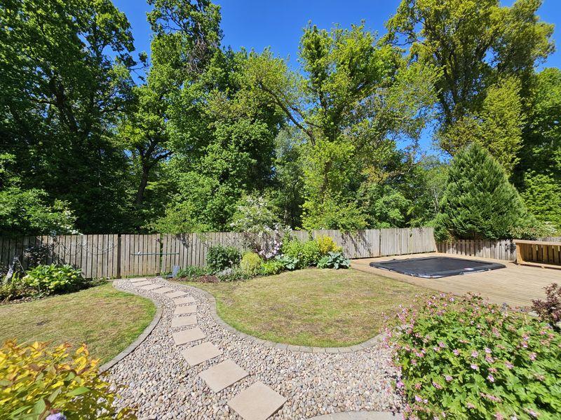 Back Garden