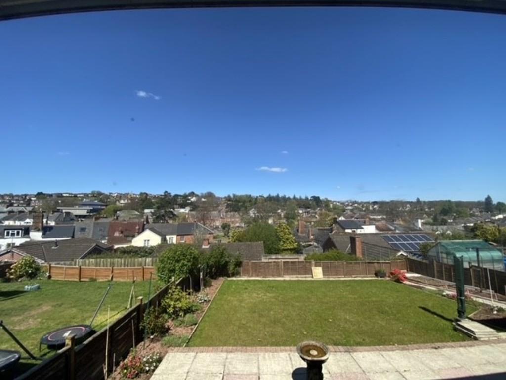 New Garden Photo - JW