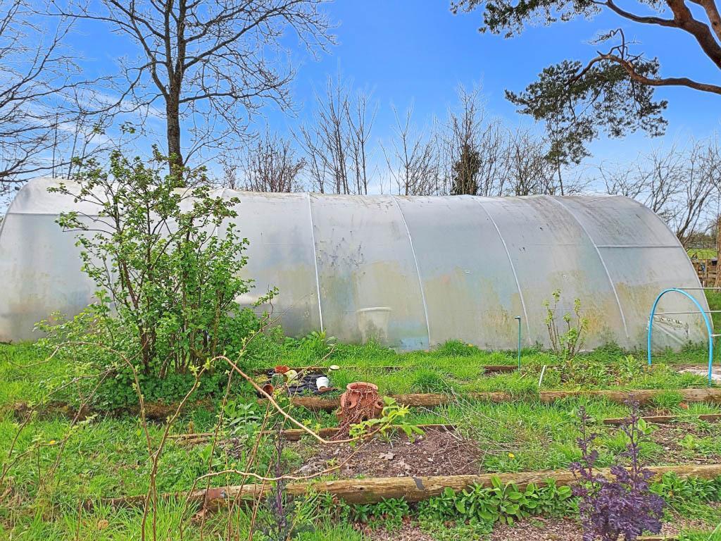 Large Polytunnel