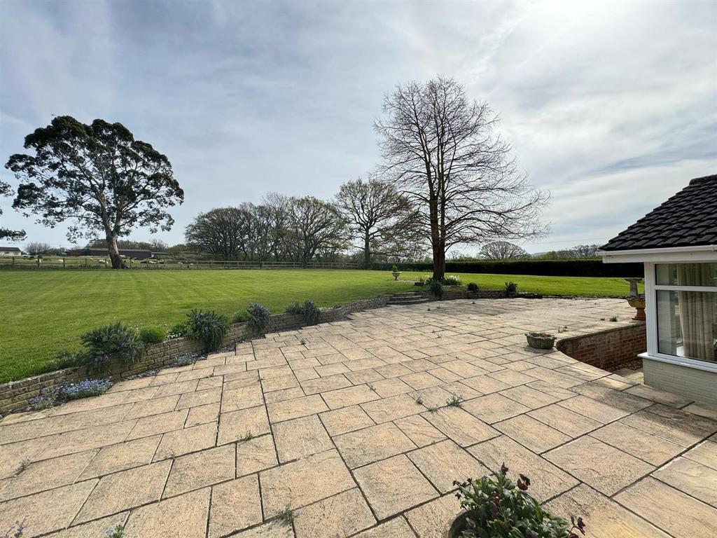 Patio and Garden