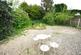 Dsc 0876.jpg