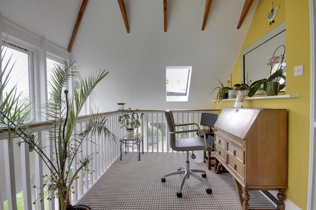 Study Area