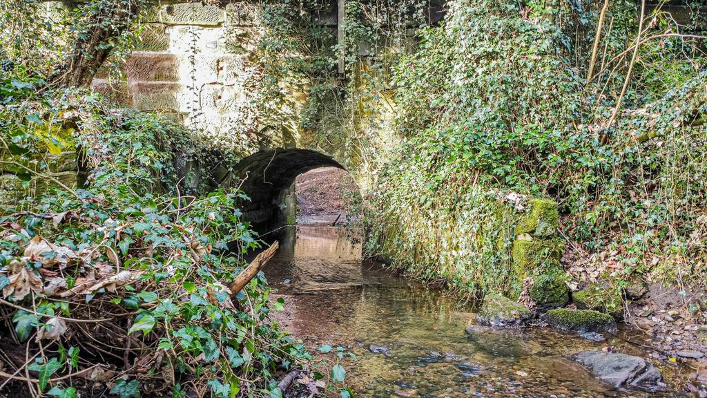 Dingle Brook