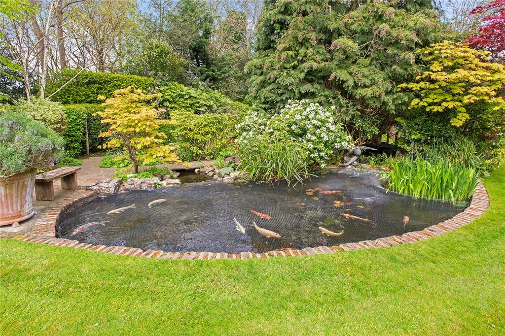 Pond