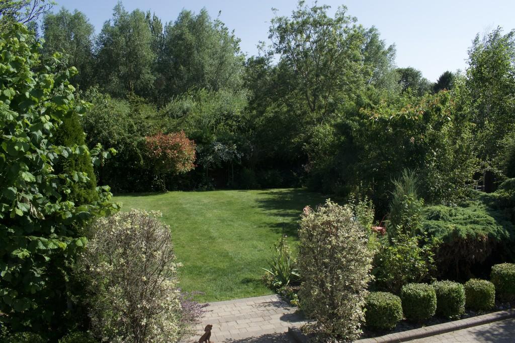 Dsc 0229