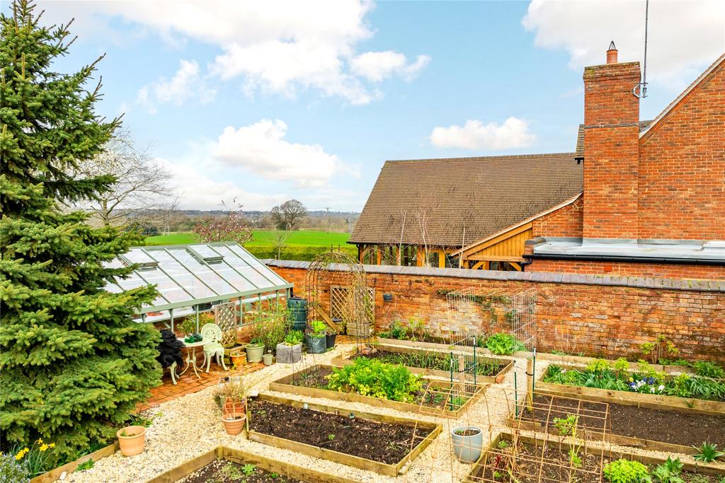 Vegetable Plot