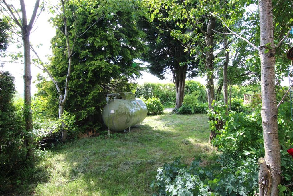 Front Bgarden 2