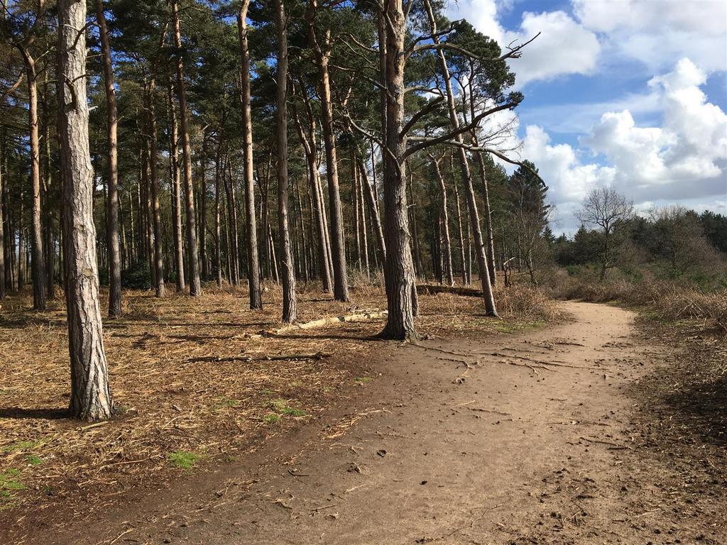 Local countryside walks