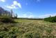 Residential Plot, Ladyrig, Kelso, Scottish Borders, TD5 photo 4