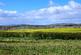 Residential Plot, Ladyrig, Kelso, Scottish Borders, TD5 photo 5