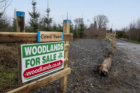 Woodland for sale, Nook Lane, Bronington SY13