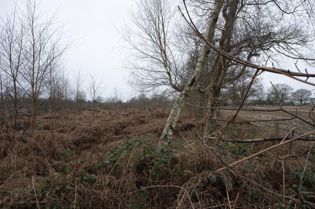 Boundary with neighbouring farm