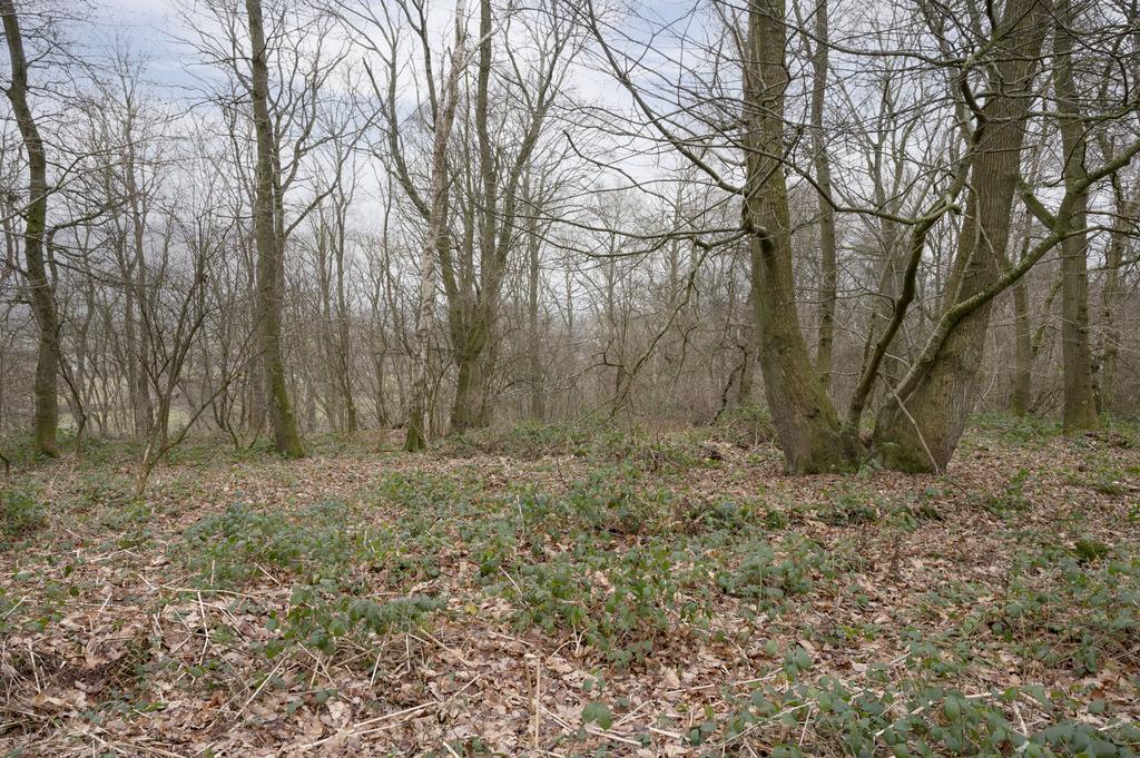Flat open area above the old quarry