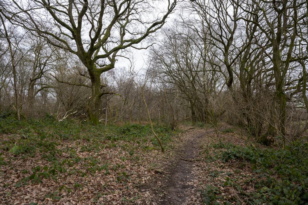 Permissive path