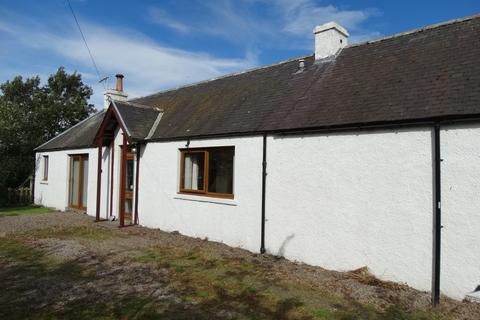 undefined, Longmorn, Elgin