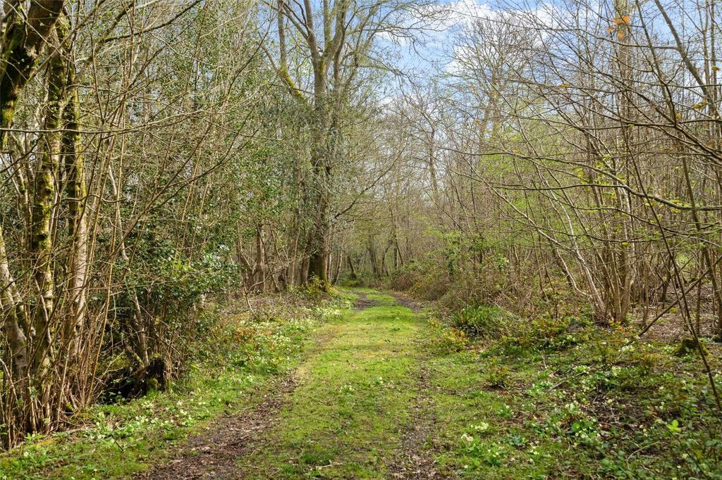 Track &amp; Woodland