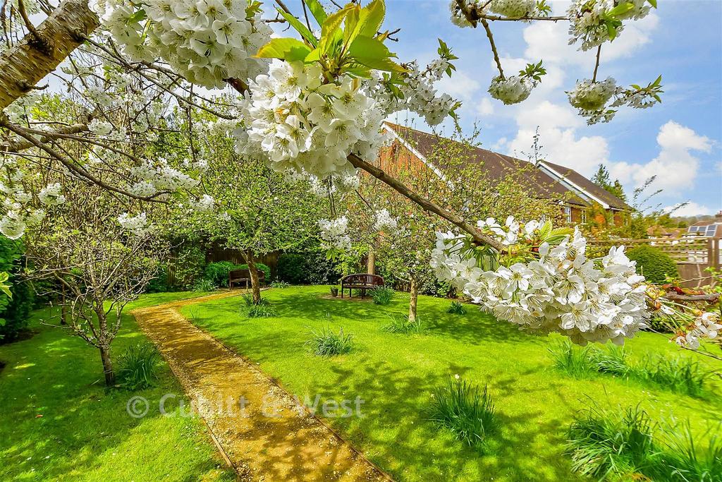 Communal Gardens