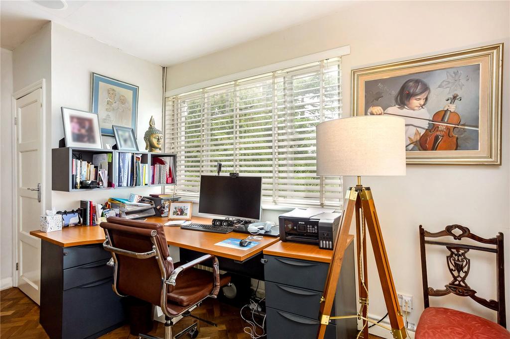 Study Area