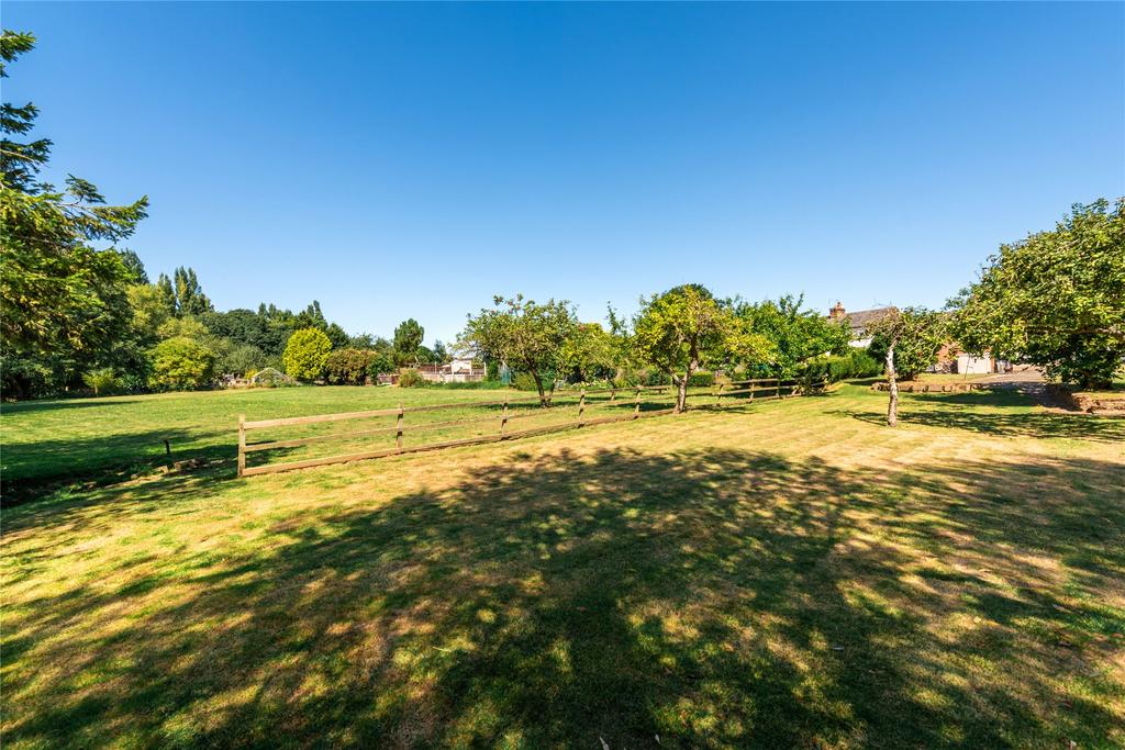 Orchard