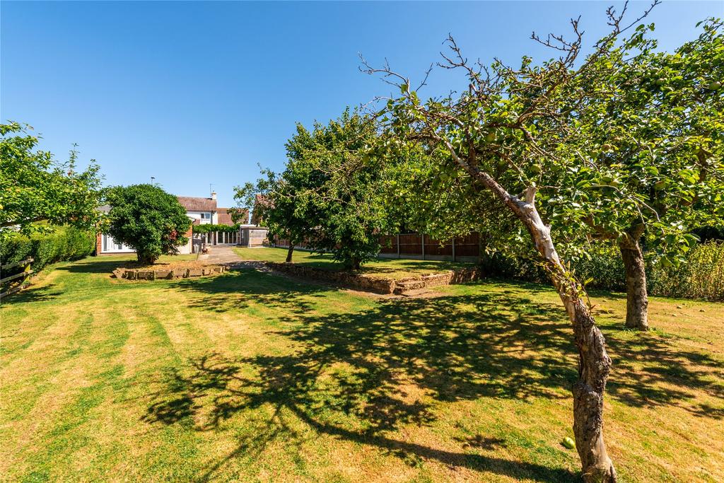 Rear Of Property