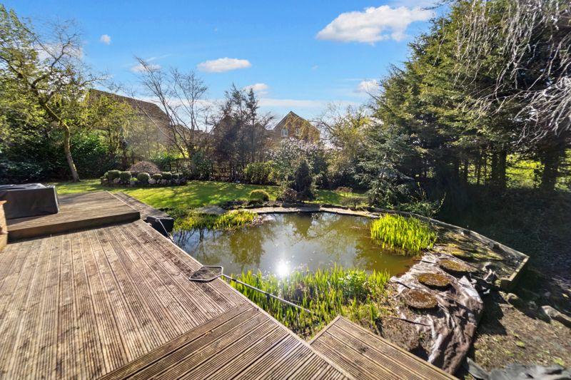 Garden Pond