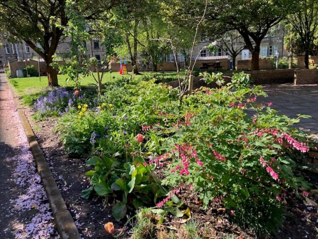 Garden 2
