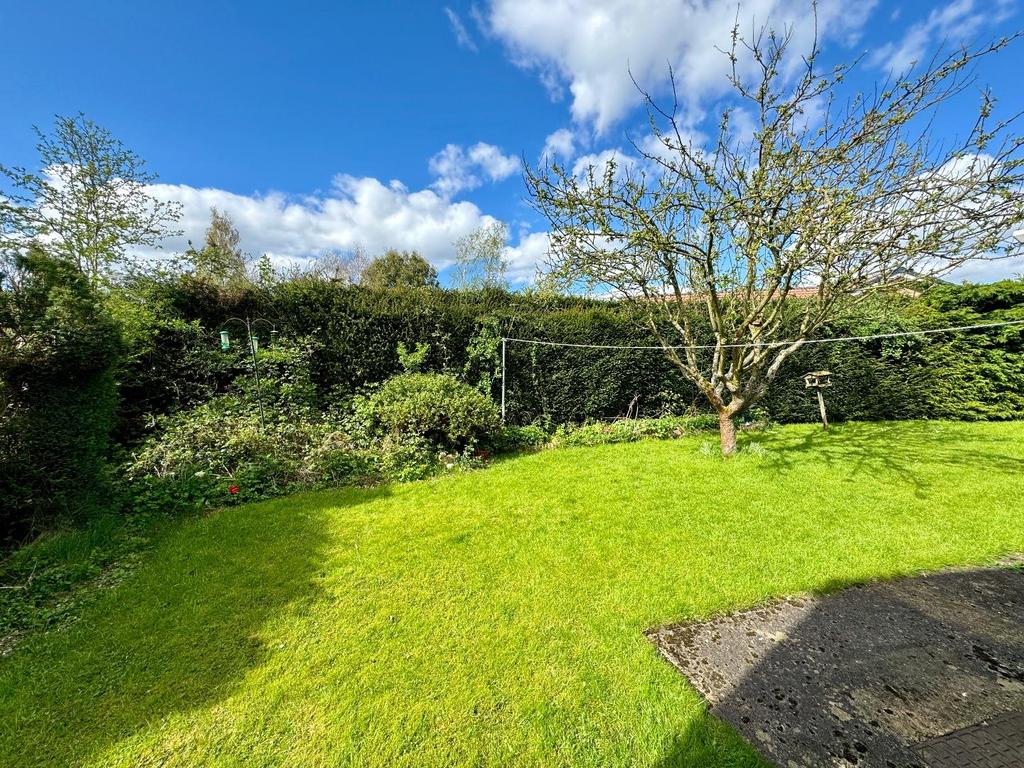 Rear garden