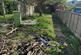 38466-37 w garden.jpg