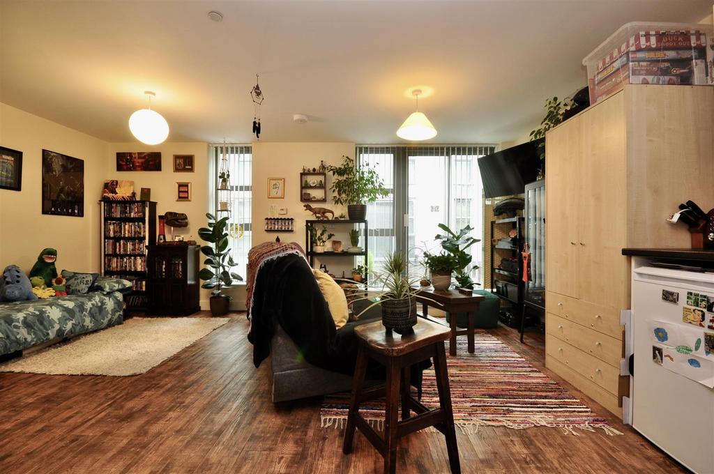 Kitchen / Living Roomn area