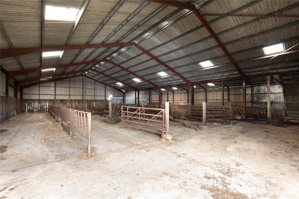 Cattle Shed
